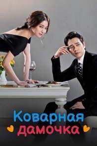 Постер Хитрость незамужней женщины (2014) (Коварная дамочка / Коварная одинокая женщина / Пронырливая дамочка / Хитрость одинокой женщины / Sly and Single Again / Cunning Single Lady)