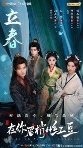 Постер Семена алой тоски (2026) (Seeds of Scarlet Longing)