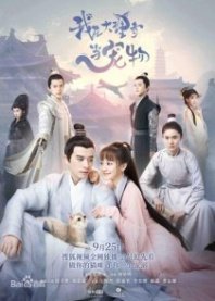 Постер Кошка из палаты по уголовным делам (2018) (Я питомец в храме Дали / Я любимец храма Дали / Wo Zai Da Li Si Dang Chong Wu)