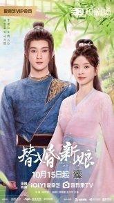 Постер Подставная невеста (2024) (Невеста-убийца / Love of the Minister / Quan Chen Mou Ai Zhi Zhang Zhong Huan / Substitute Bride / The Killer Bride)