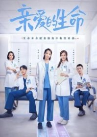 Постер Дорогая жизнь (2022) (Женский доктор / Qin Ai De Sheng Ming)