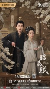 Постер Ода утраченному свету (2026) (Zhao Li Fu)