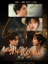Постер Любовь очень важна (2025) (Love Is Highly / Pu Xiang Mei Gui)