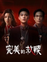 Постер Идеальный подозреваемый (2025) (Wan Mei De Jiu Shu)