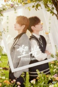 Постер Скульптурный свет (2025)