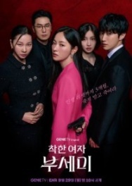 Постер Госпожа Инкогнито (2025)