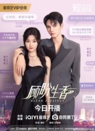 Постер Смешанные чувства (2025)