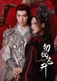 Постер Просьба не мешать вознесению (2025)