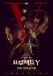 Постер Проект Y / Project Y (2026)