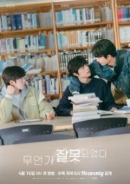 Постер Что-то пошло не так (2025)