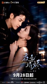 Постер Догорающее пламя ночи (2026)
